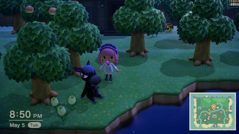 2020050520505300-02CB906EA538A35643C1E1484C4B947D