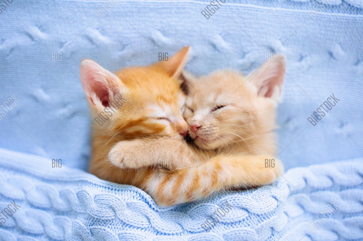 BBC62DEF-4D9F-4C04-9B97-D199AFCB9B65