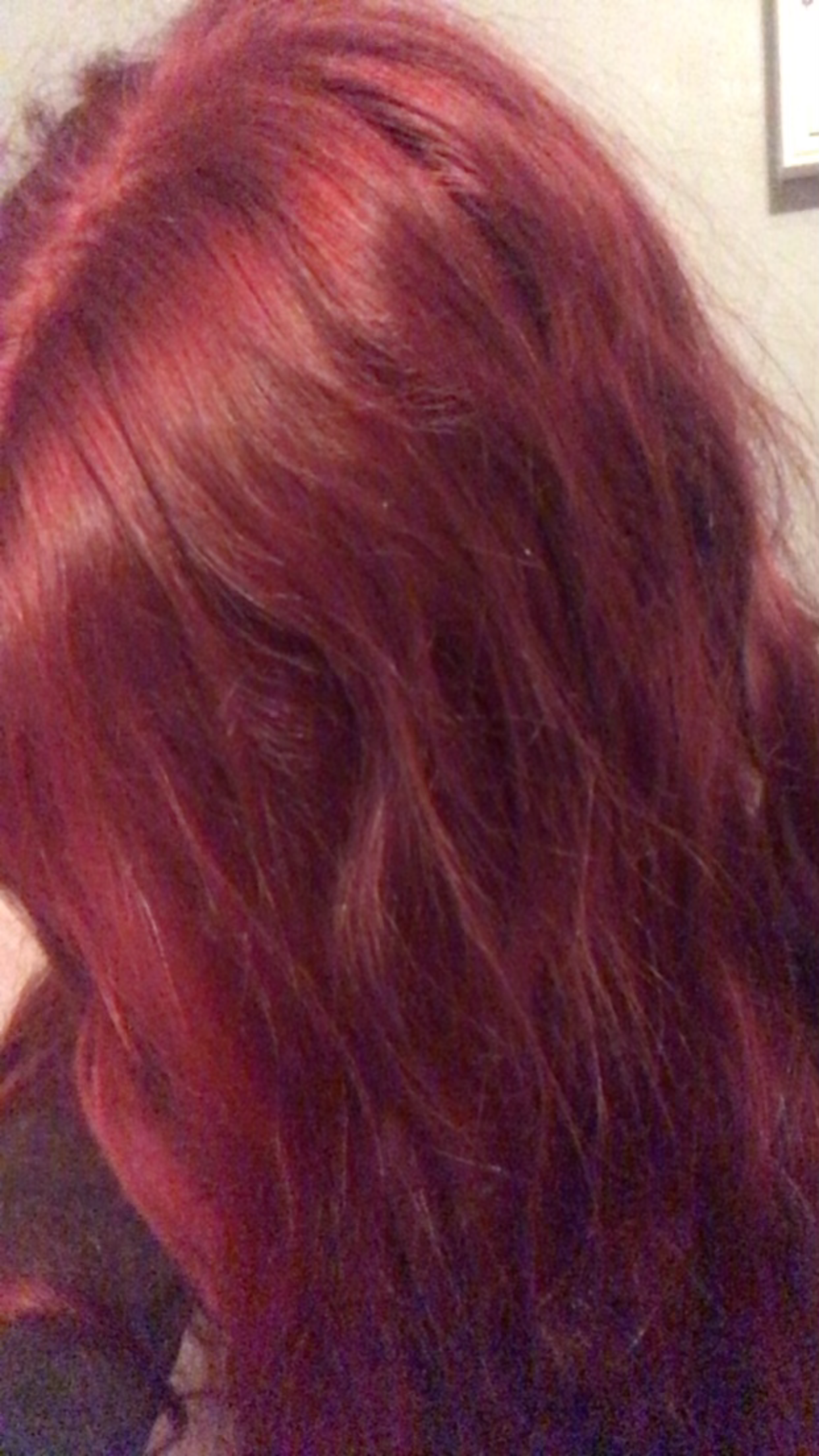 D47DC03B-1FF7-4B32-9BD9-2A80C797EFD3