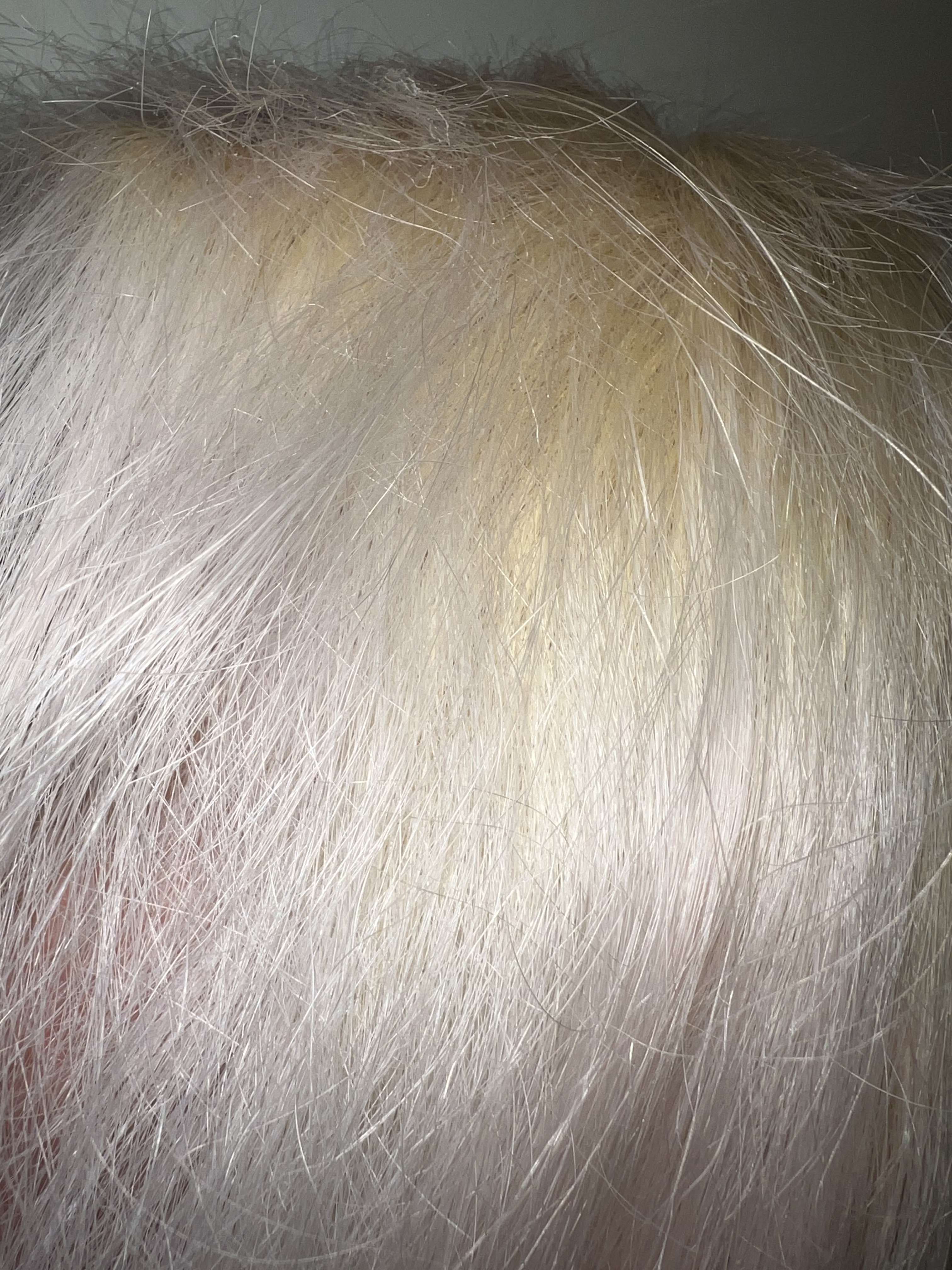 385B4134-45AF-4231-BDC8-9EE943D922D9