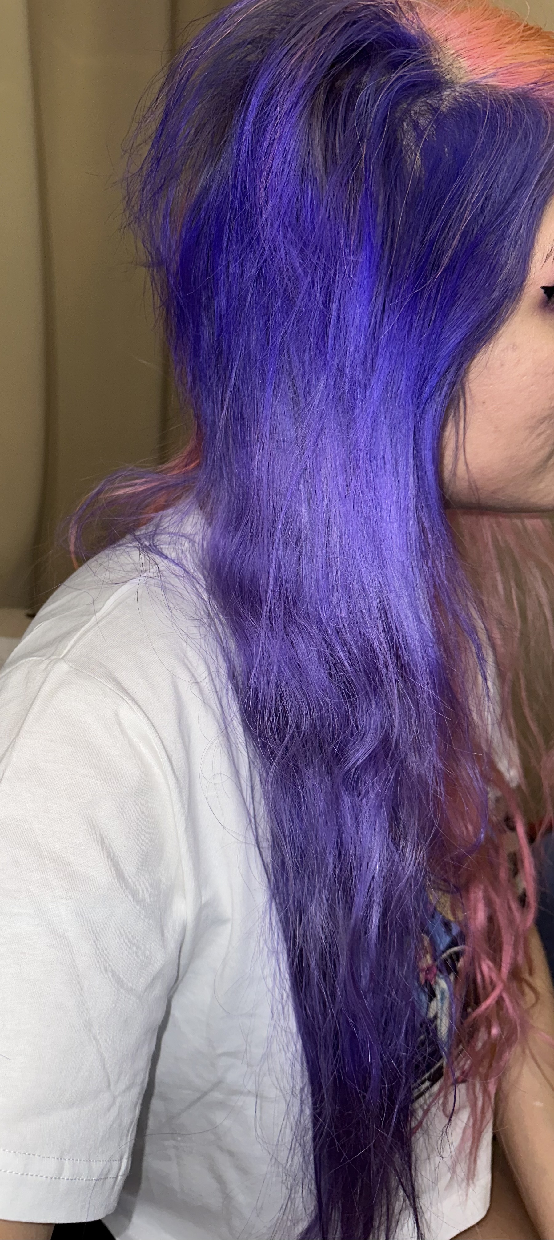 DE42169C-C66C-4AEE-85FF-DB7FA63948C0